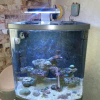 آکواریوم آبشور نور زد لایت و لوازم