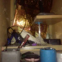 لوتینیو مولد ۲و۱۰۰|پرنده|خرمشهر, |دیوار