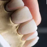 منشی باتجربه ومنظم