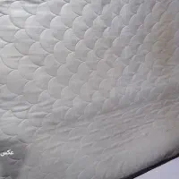 تشک دونفره|تشک تختخواب|بندر ماهشهر, |دیوار