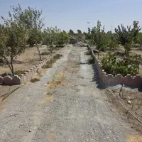 باغ و باغچه ۲۸۰ متری سهیلیه|فروش زمین و ملک کلنگی|رامجین, |دیوار