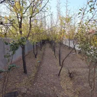 باغ ویلا|فروش خانه و ویلا|خوسف, |دیوار