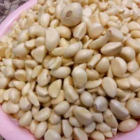 توزیع میوه و تره بار درکل شهر|خوردنی و آشامیدنی|شیراز, تاچارا|دیوار