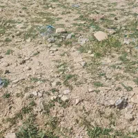 زمین مسکونی