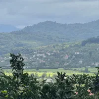 500 متر زمین بافت ویو ابدی در بابلکنار|فروش زمین و ملک کلنگی|شیرگاه, |دیوار