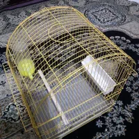 قفس پرنده|لوازم جانبی حیوانات|سنندج, |دیوار