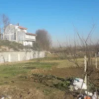 فروش زمین ۱۰۲۶ متری در شفت|فروش زمین و ملک کلنگی|رشت, دروازه لاکان|دیوار