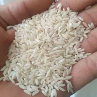 برنج محلی سالم بوجاری شده درروستا|عمده‌فروشی|دورود, |دیوار