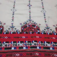 پلیوارمیدوزم