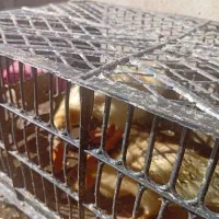 اردک کوچولو دوعدد دانه ای ۲۰۰