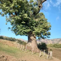 خانه ویلایی