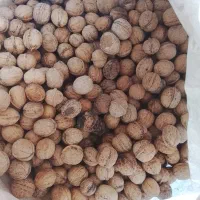 گردو بادام کشمش|عمدهفروشی|نیشابور, شهید بهشتی|دیوار