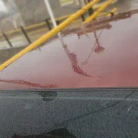 پژو 405|خودرو سواری و وانت|مرند, |دیوار