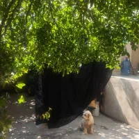 فروش زمین ۱۰۰ متری در حصار مهتر
