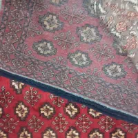 قالی|فرش|طرقبه, |دیوار
