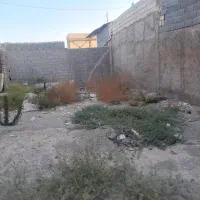 فروش زمین|فروش زمین و ملک کلنگی|محمدشهر, عباس آباد|دیوار