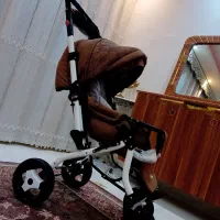 کاملا سالم کالسکه ، تخت شو خارجی