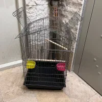 قفس عروس هلندی