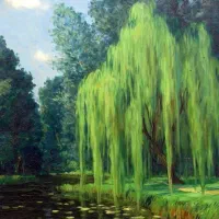 طراحی و نقاشی طرح مورد نظر شما با قیمت مناسب