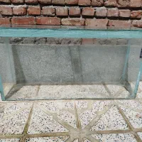 آکواریم ماهی