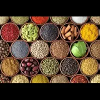 کلیه اقلام ادویه جات