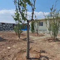 باغچه، چهاردیواری، زمین،باغ،آماده تحویل ۱۱۵ متر|فروش زمین و ملک کلنگی|رباط‌کریم, رباط‌کریم|دیوار