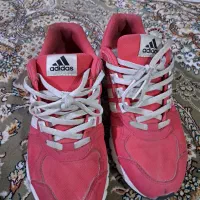 اکومنت. فلوکس. zx8000