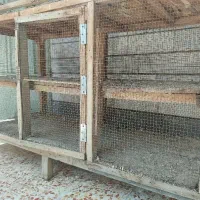 قفس پرنده، بزرگ دو طبقه