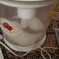 خردکن تز|خردکن، آسیاب، غذاساز|گنبد کاووس, |دیوار