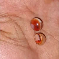 ۱۰ جفت مهره سلیمانی.جزع
