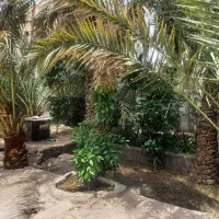 ویلایی ۲ خواب، ۵۲۶متر زمین میدان فرمانداری|فروش خانه و ویلا|بم, |دیوار