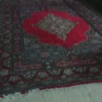 فرش ۱۲متری کاملاً سالم|فرش|شیراز, سعدیه شمالی|دیوار