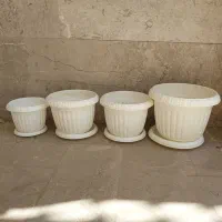 گلدان و استند