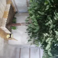 منزل دربست ویلایی ۳خواب