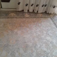 فرش ۱۲۰۰ شانه|فرش|شاهین‌شهر, بوستان حافظ|دیوار