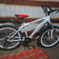 دوچرخه۲۴حرفه ای