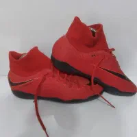 سالنی اورجینال