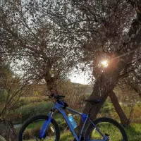 دوچرخه 29 بلست آلمینیوم