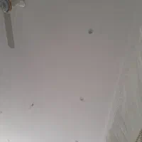 عنواع گچ کاری ولکه گیری انجام داده میشود