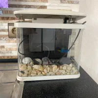 اکواریوم|ماهی|تهران, مشیریه|دیوار