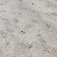 موکت ظریف  مدل هراز