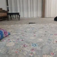 اجاره اول دانش
