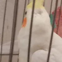 گم شدن
