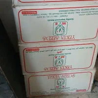 شوش
