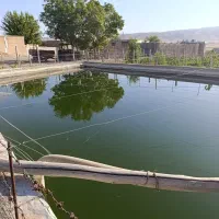 فروش-باغ-انگور-یک-هکتاری