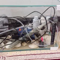 فروش آکواریوم و وسایل جانبی
