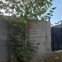 باغچه شهرکی چهاردیواری