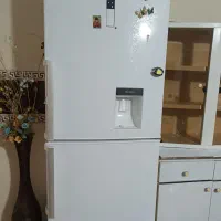 یخچال جنرال برای باغ