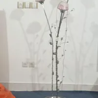 یک دانه آباجور به فروش می رسد