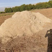کاه|گل و گیاه طبیعی|الشتر, |دیوار